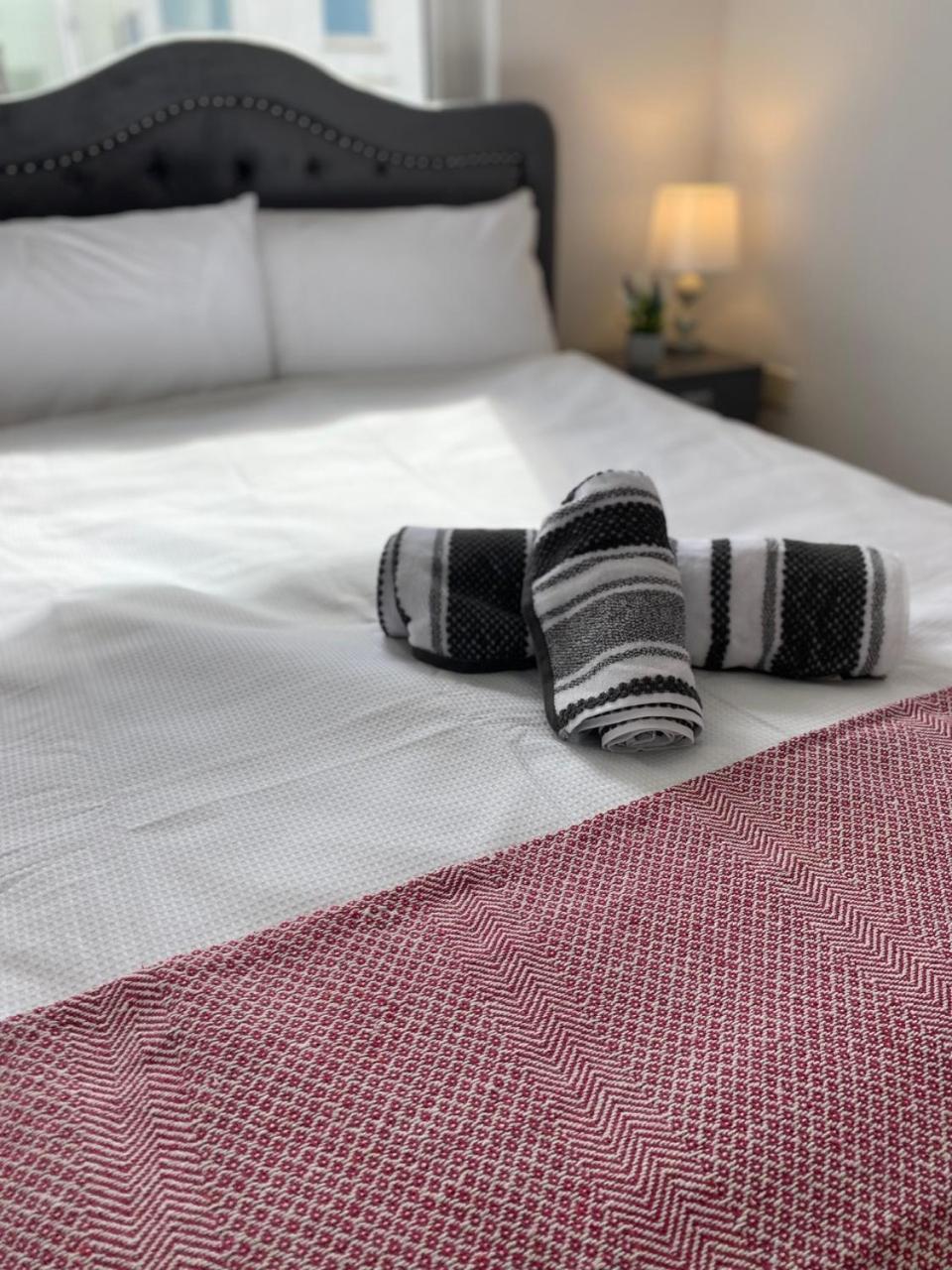The Duffy Apartment Belfast Ngoại thất bức ảnh